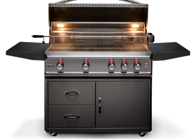 BBQ à vendre